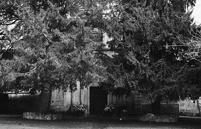 Bodas Palacio Meres Asturias